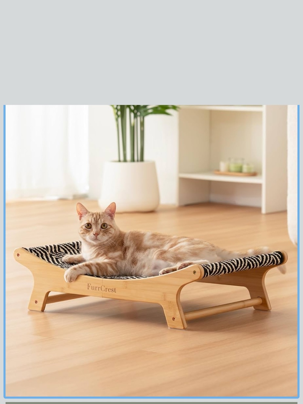 NEW XL Sisal Cat Scratcher Bed with Elevated Hammock for Indoor Cats